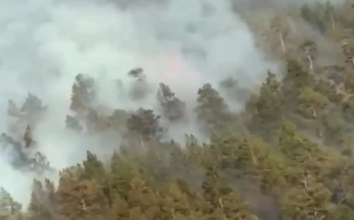 Kazakhstan battles wildfires as drones join firefighting efforts PHOTO