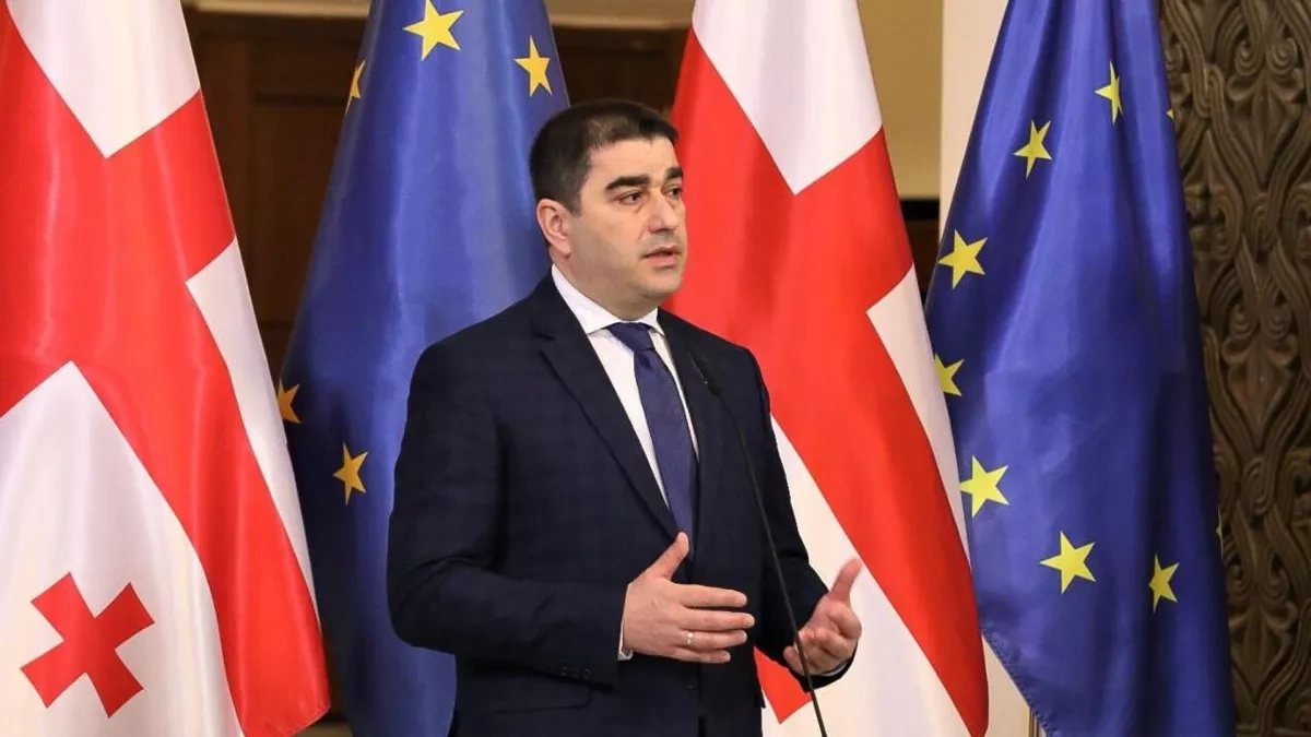 Georgia's speaker rejects foreign influence on national interests