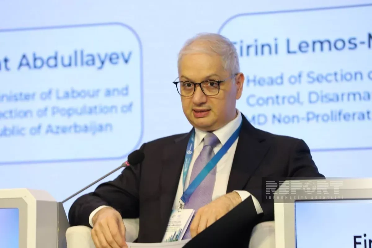 Azerbaijan calls for full social integration of land mine victims