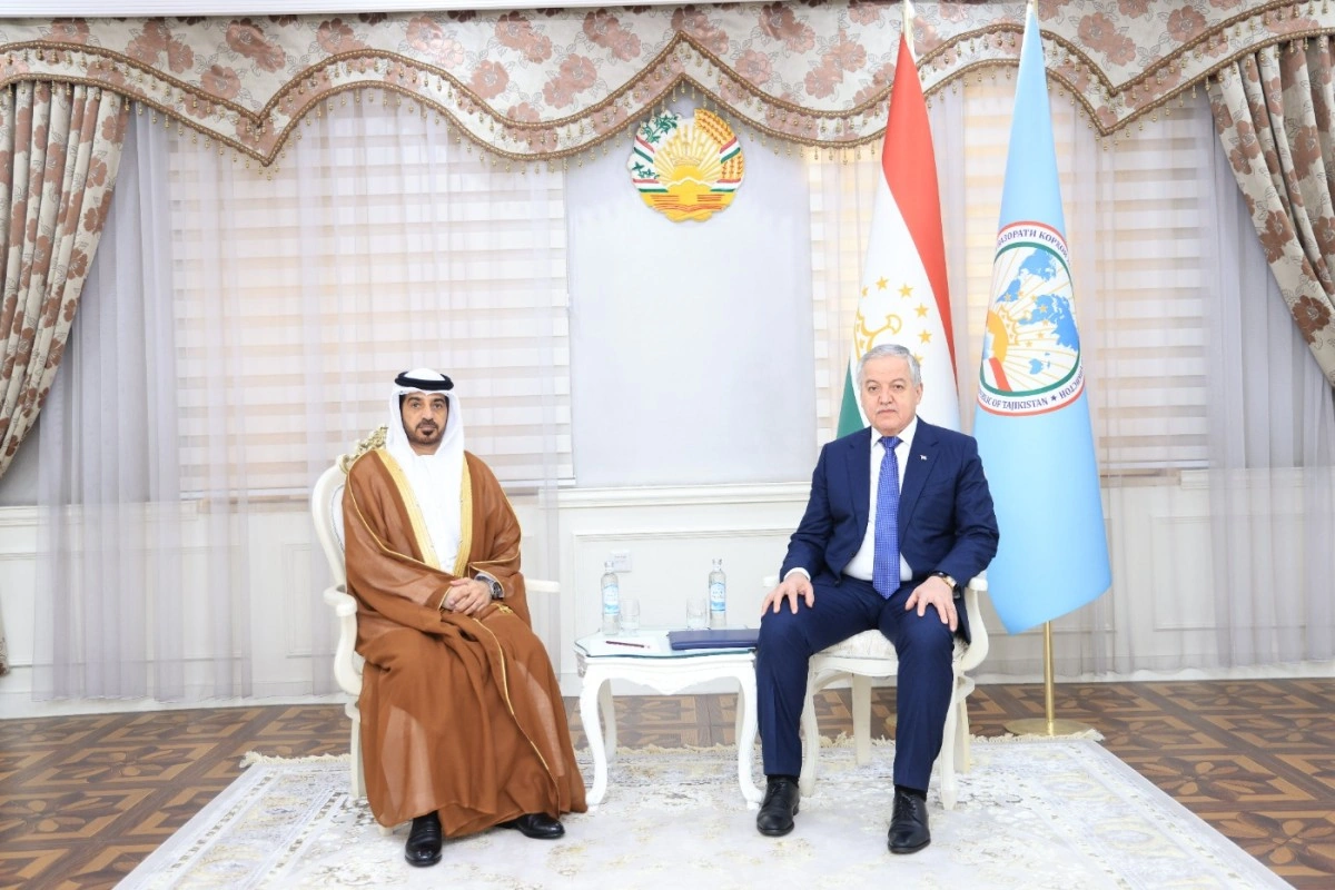 Tajikistan, UAE discuss cooperation in international organizations