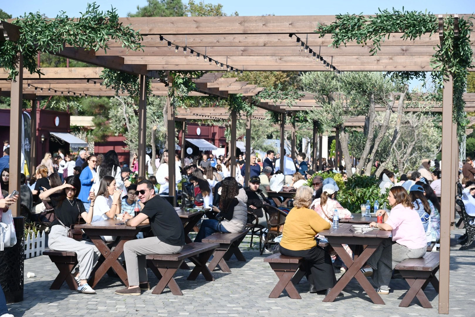 Olive Festival opens in Baku (PHOTO)