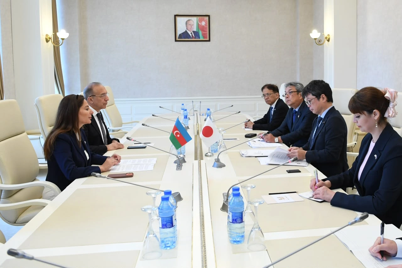 Azerbaijan and Japan discuss inter-parliamentary relations (PHOTO)