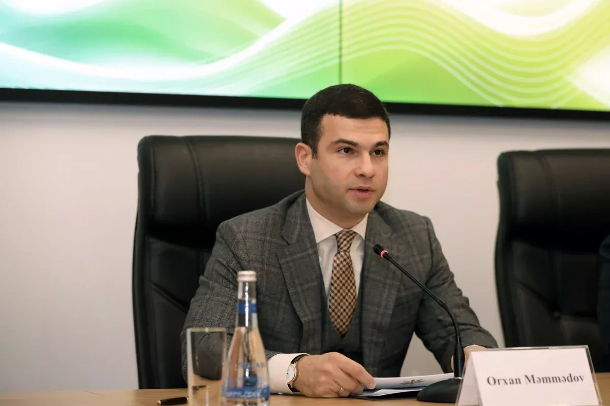 South Caucasus needs angel investment, Azerbaijani official says