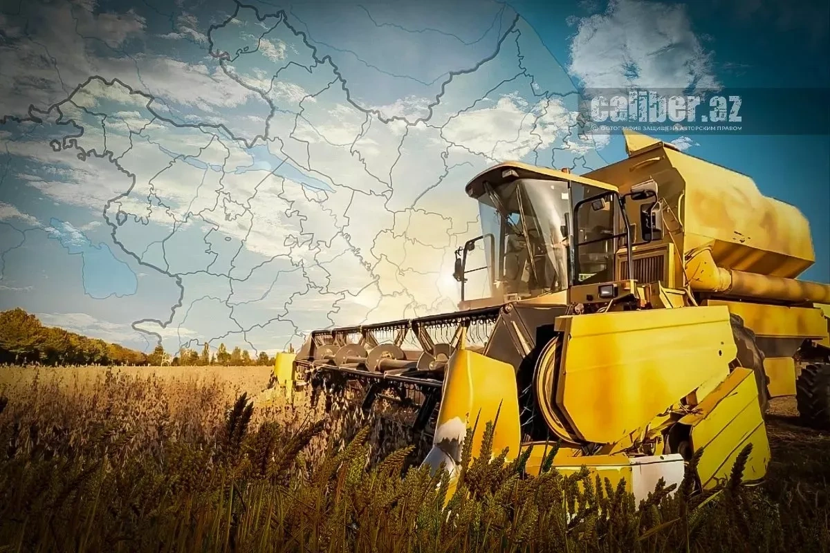 Grain course: Azerbaijan strengthens food security
 Review by Khazar Akhundov