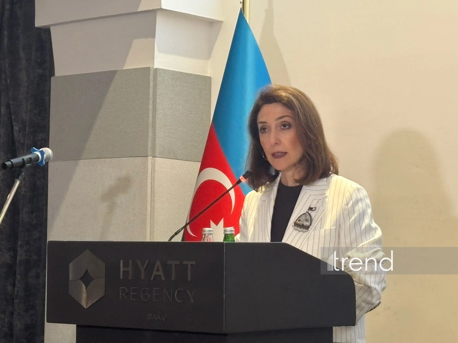 Azerbaijan sees renewable energy, transport as key areas for Hungary ties