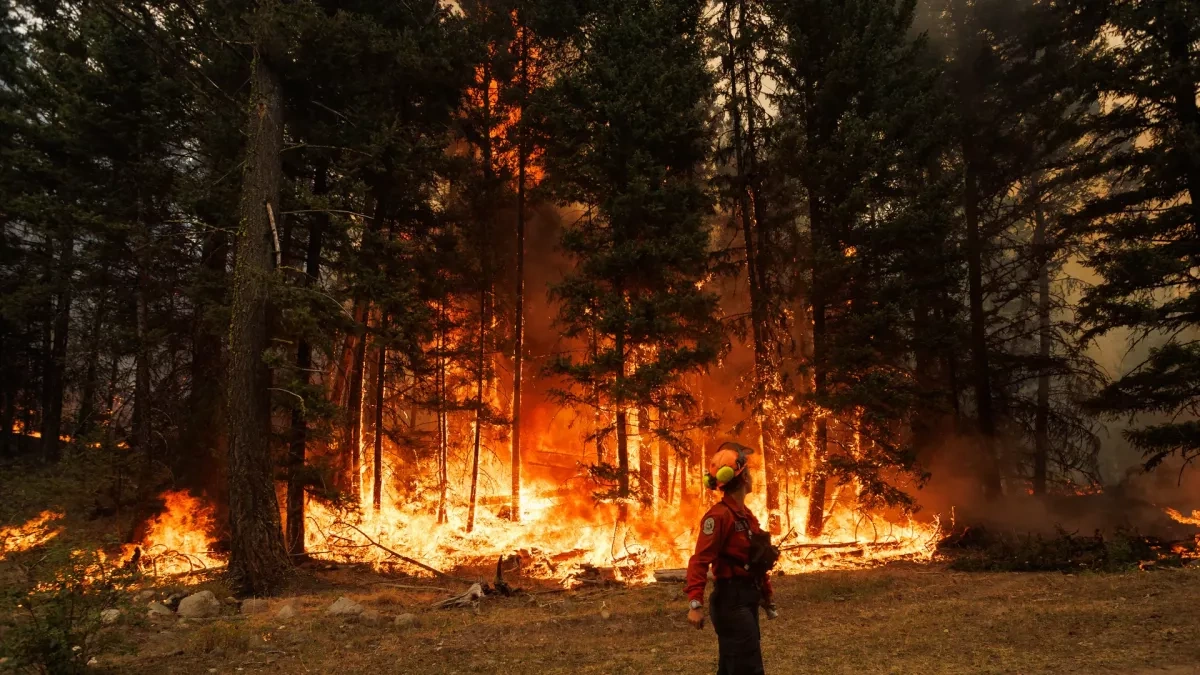 Wildfire destroys about 230 homes in western Canada