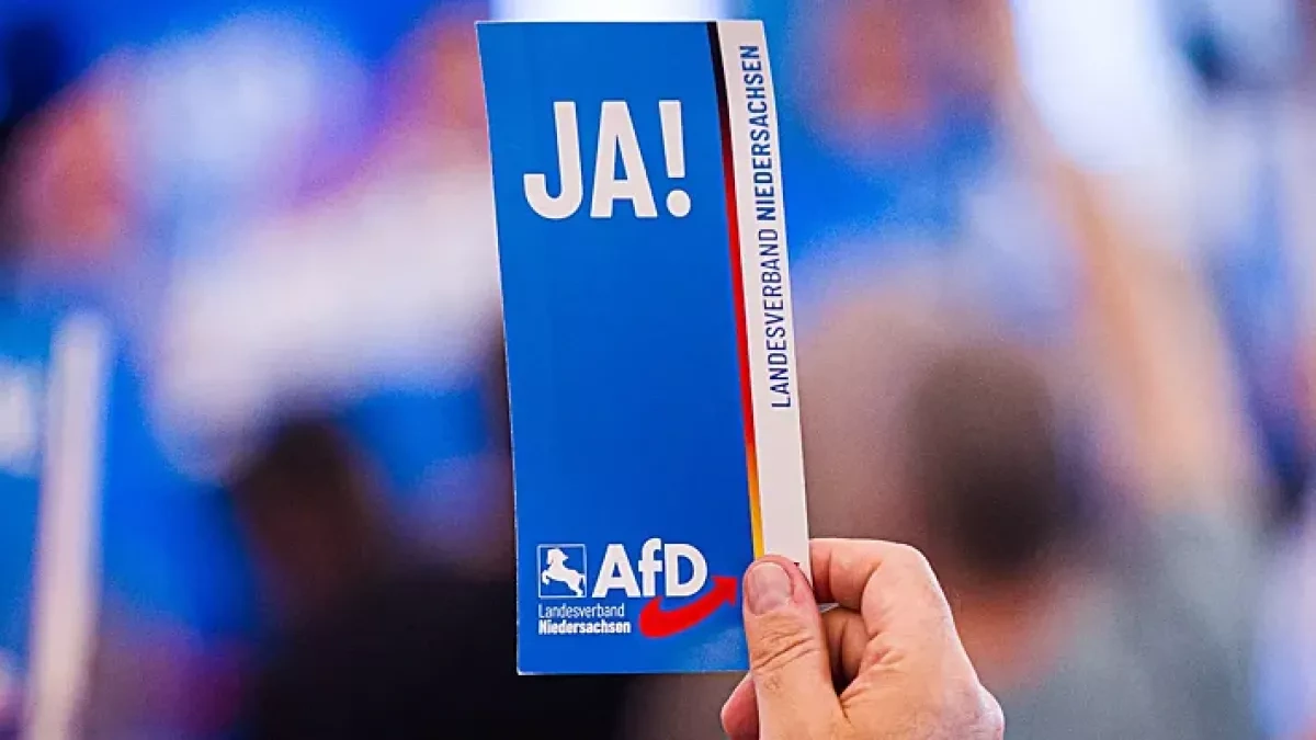 AfD support reaches record high in Germany poll
