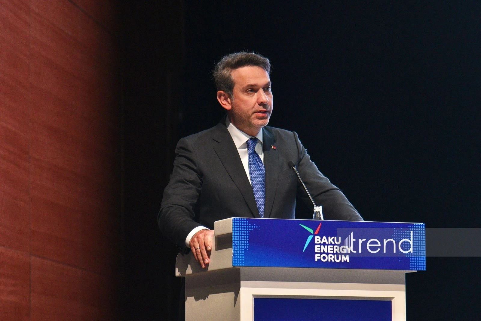 Türkiye plans large-scale modernization of its green power grid - minister