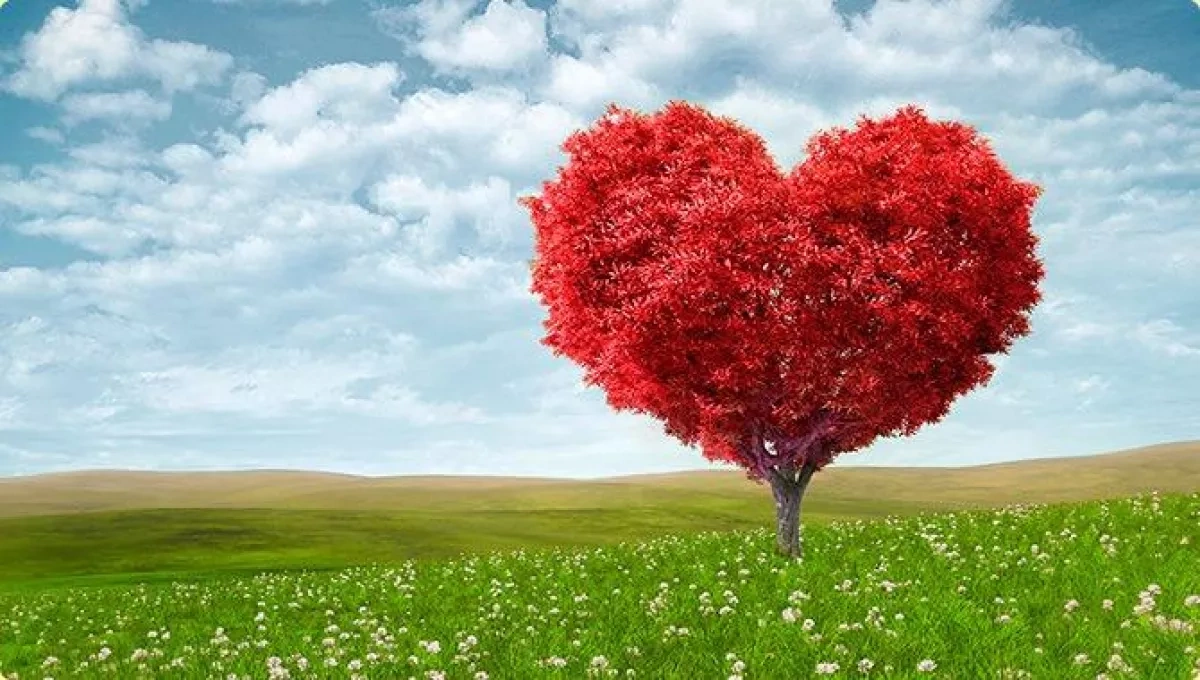 Era of hope: Azerbaijani surgeon performs first deceased-donor heart transplant Professor Musayev speaks to Caliber.Az