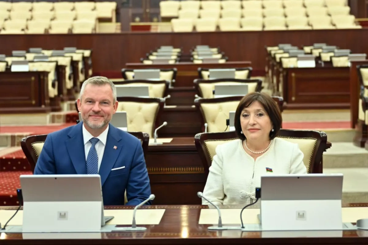 Azerbaijan, Slovakia highlight stronger parliamentary cooperation PHOTO