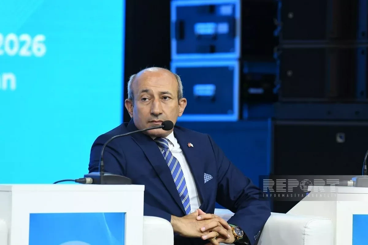 Turkish pundit proposes common trade platform along Middle Corridor
