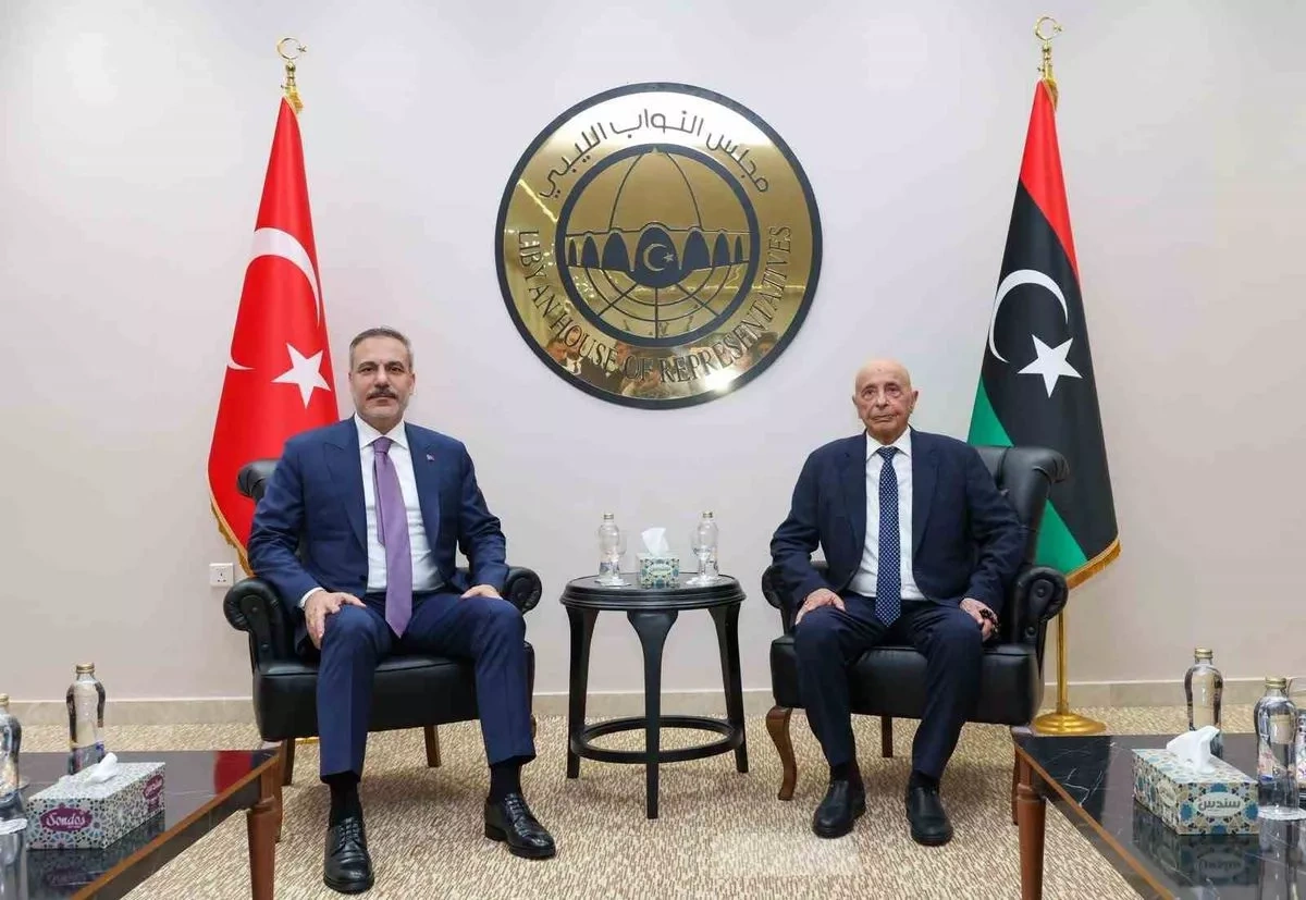 Turkish FM, Libya’s eastern parliament chief discuss path out of political crisis