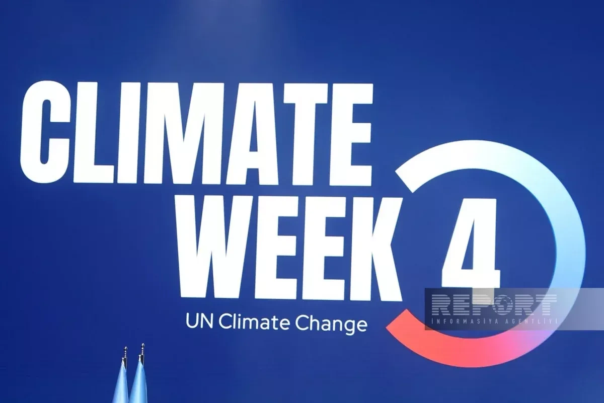 Azerbaijan’s presidential representative urges banks to make climate finance core business