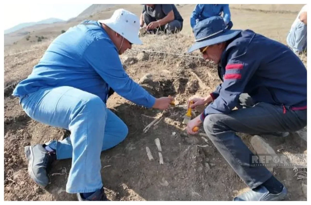 Ancient burial mound unearthed in Azerbaijan’s Yardimli district PHOTO