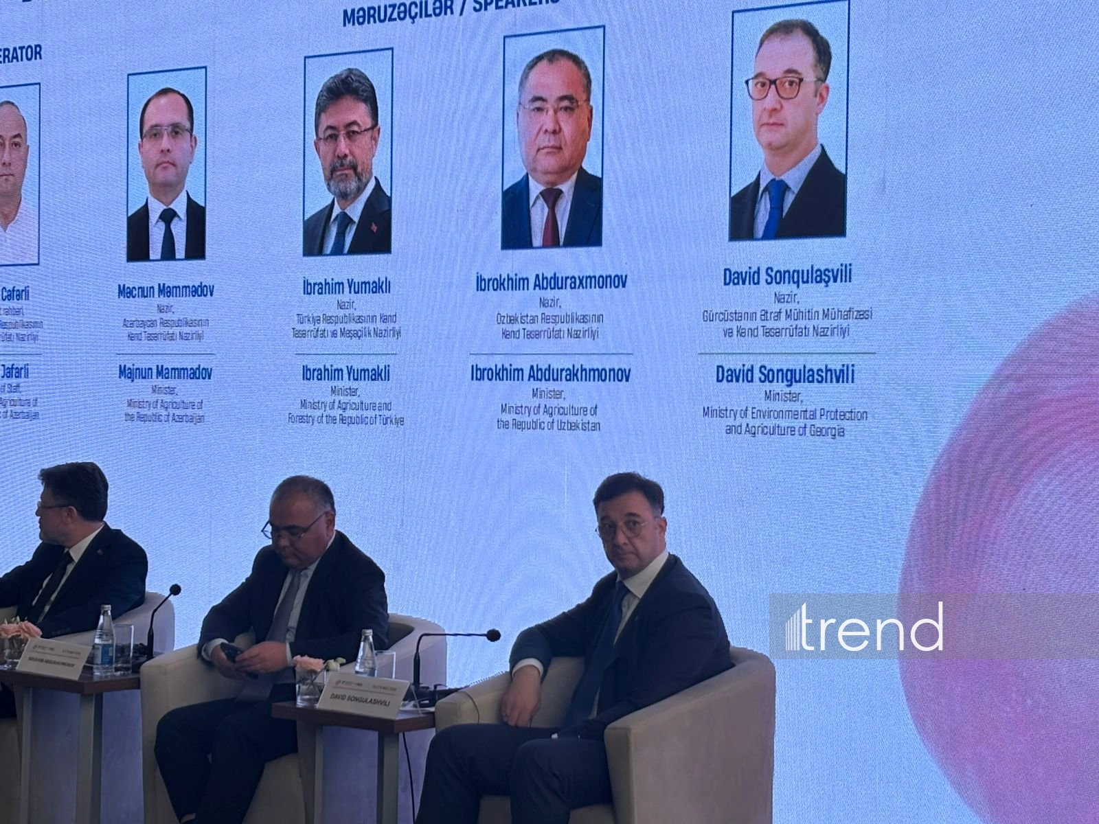 Georgia highlights importance of Middle Corridor for regional food security