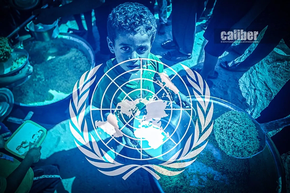 Crisis is not catastrophe Ahead of the 81st session of the UN General Assembly