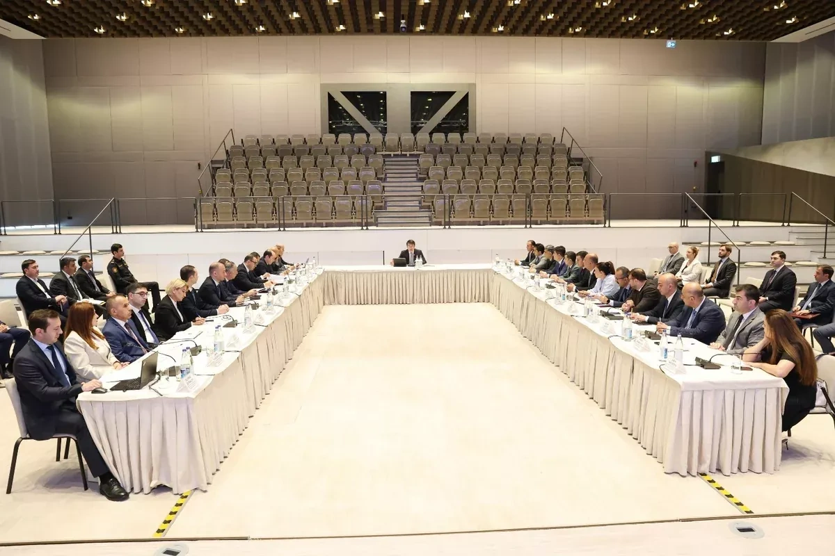 Better business environment key to economic growth—Azerbaijani official