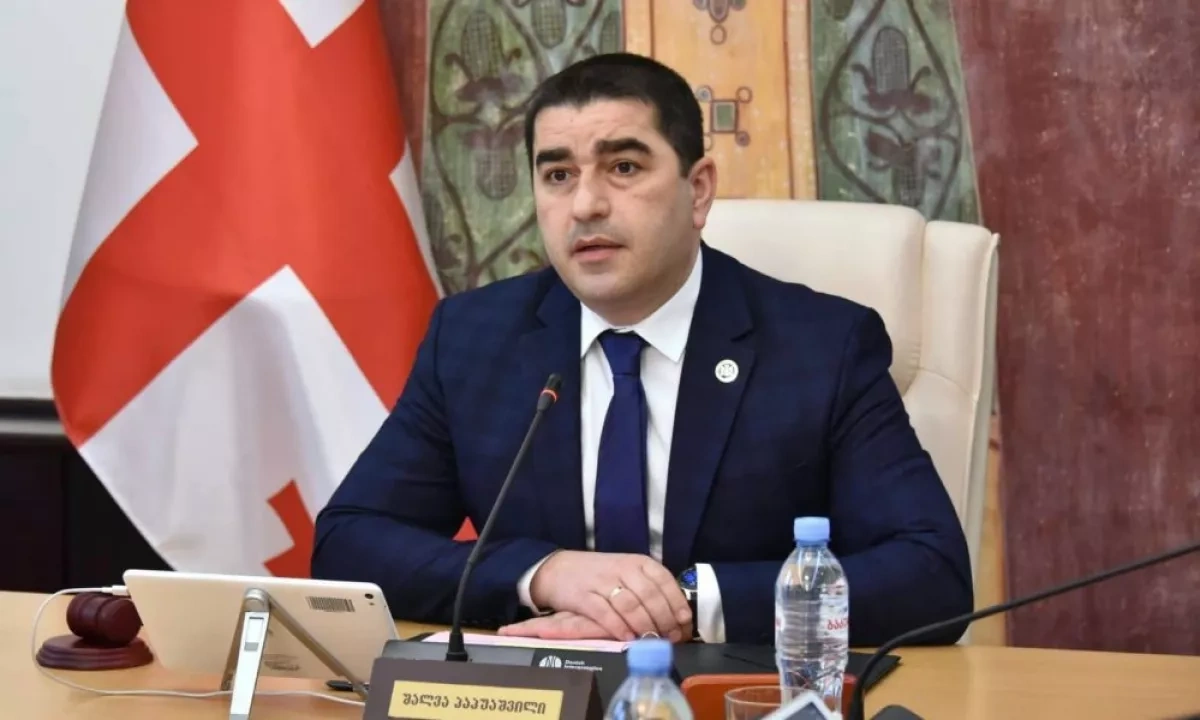 Georgian parliament speaker calls for swift end to Ukraine conflict War could have been avoided
