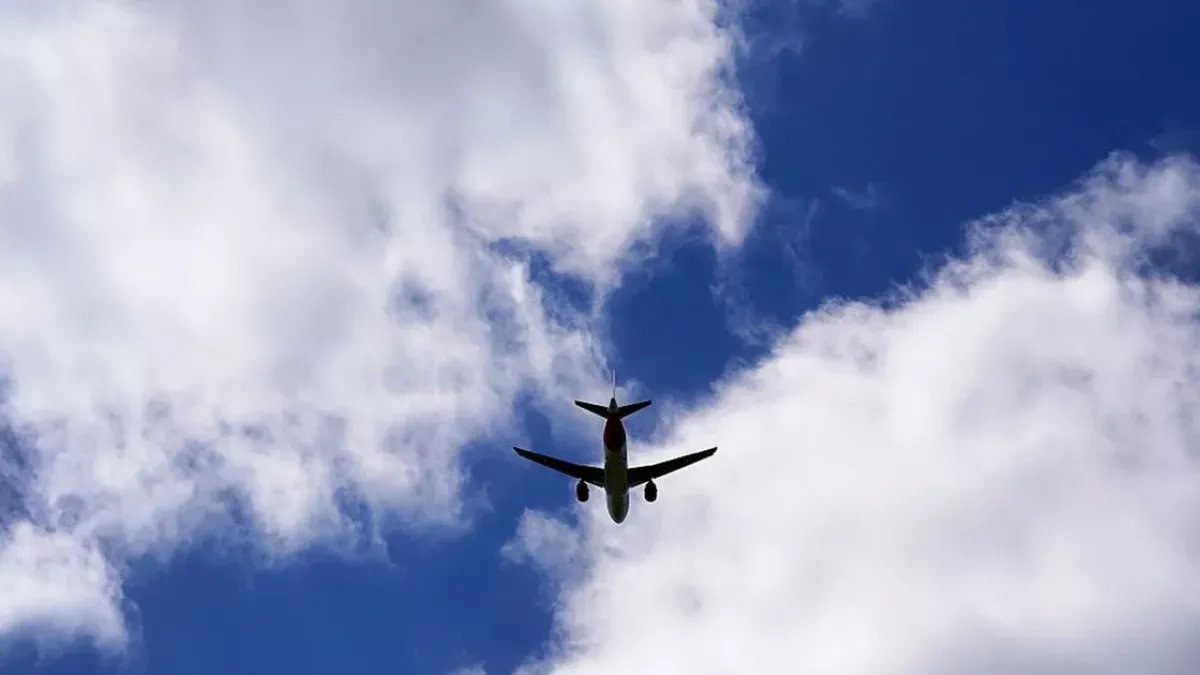 An-2 plane crashes in Kazakhstan after striking power lines, one dead