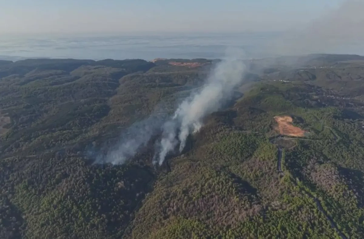Major forest fire erupts in Istanbul, with helicopters, dozens of units deployed VIDEO