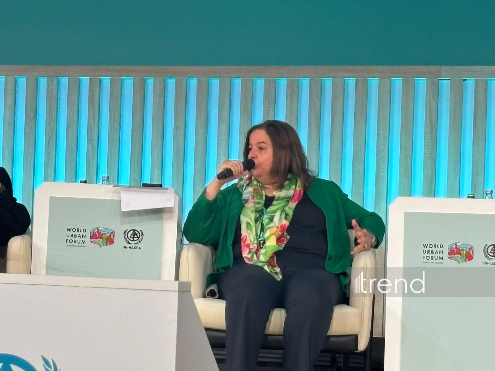 Egyptian official stresses need for international co-op in urban sustainability