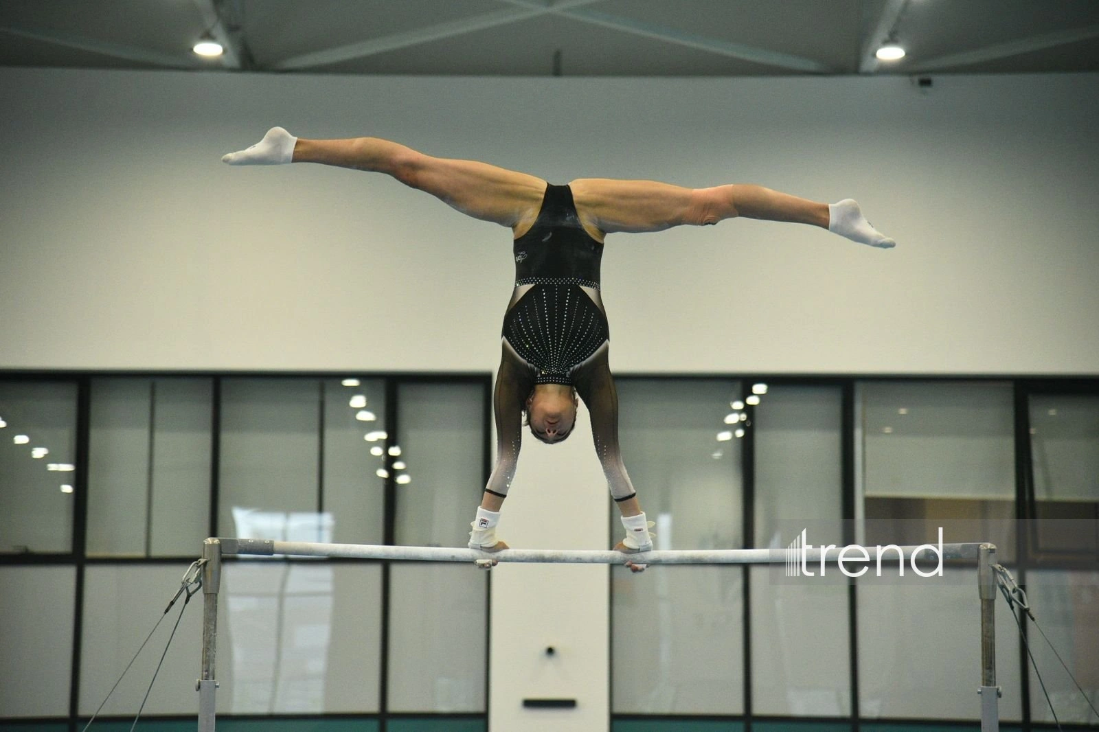 Azerbaijani gymnasts win medals at tournament in Baku (PHOTO)