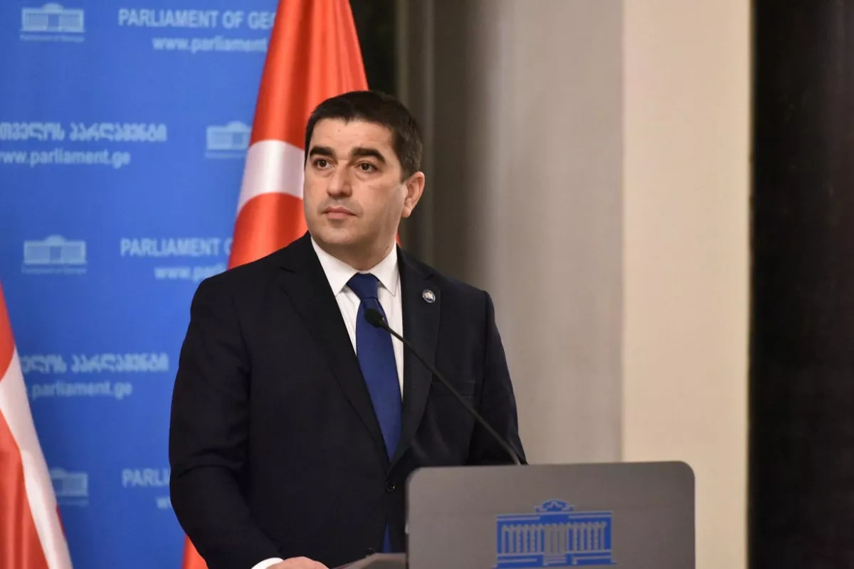 “Greatest evil”: Georgian speaker criticises NGO system in Eastern Europe