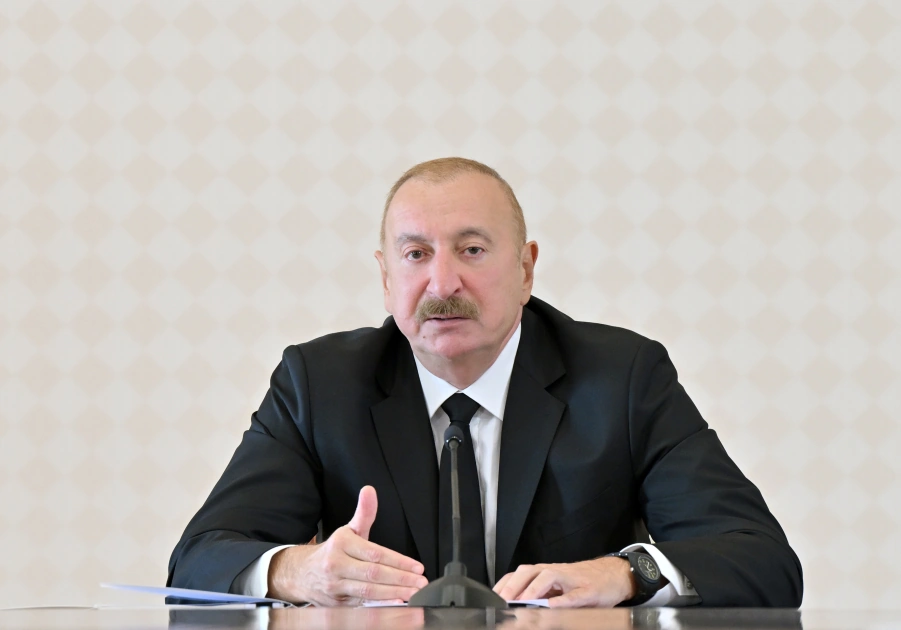 A complete chain of the mining industry—all the way to the final product—must be created - President Ilham Aliyev