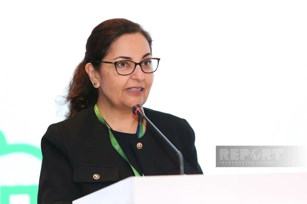 Azerbaijan seeks ADB support for offshore wind energy development