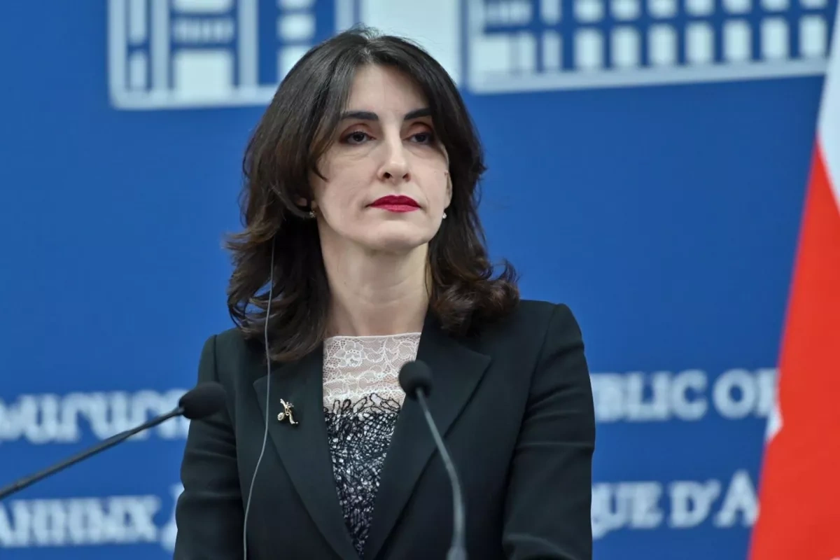 Tbilisi criticizes Brussels for going beyond delegated powers