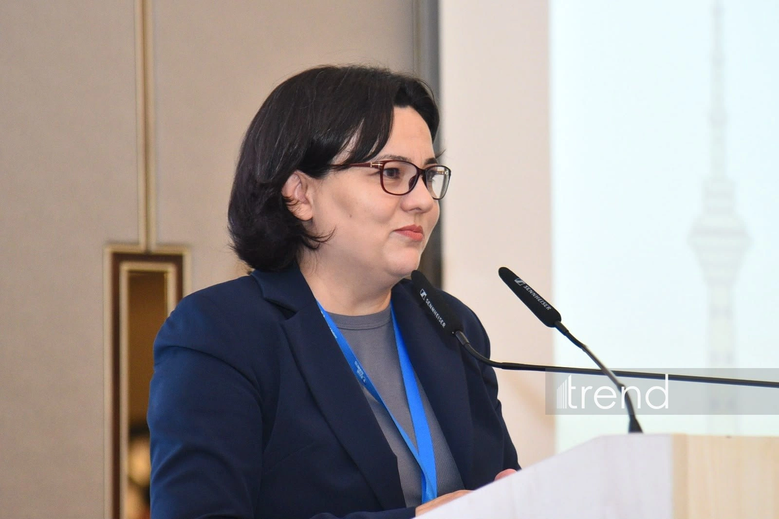 Azerbaijan plans to increase number of weather stations to 181 — official