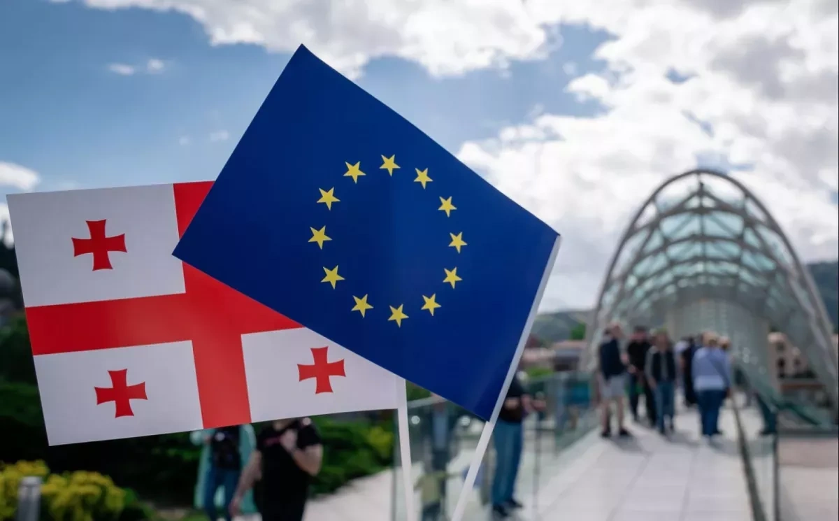Georgian foreign minister rejects claims of anti-European rhetoric