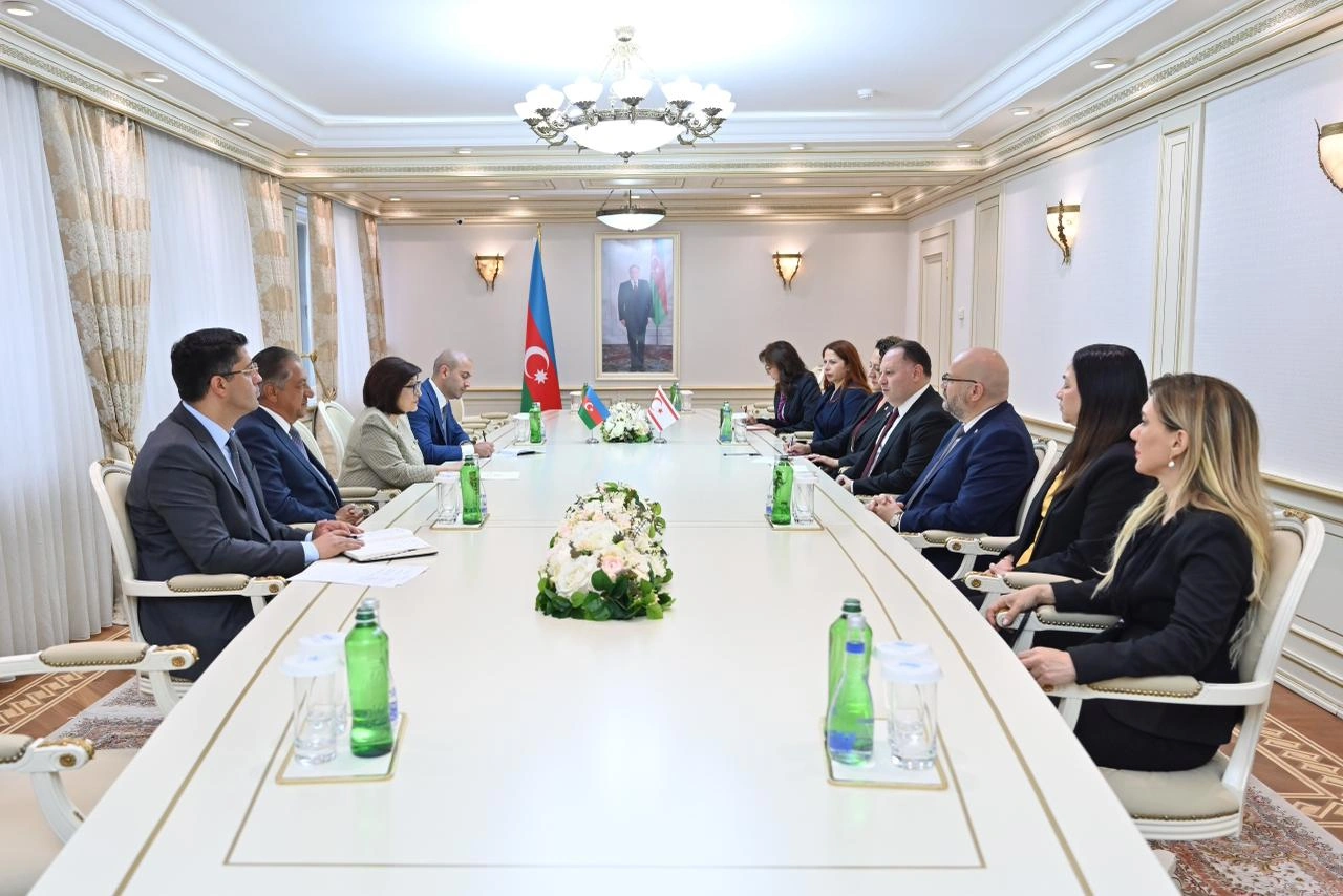 Azerbaijan, Northern Cyprus exchange views on parliamentary relations (PHOTO)