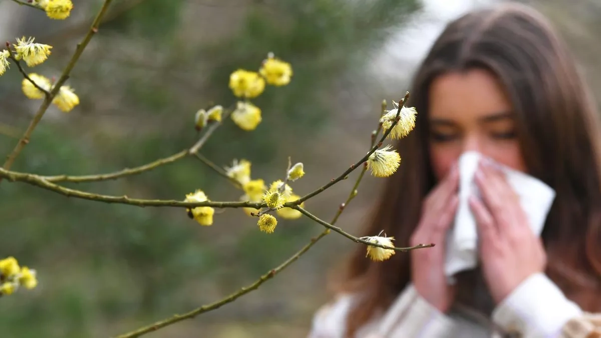 Climate change lengthens Europe’s pollen season, study warns