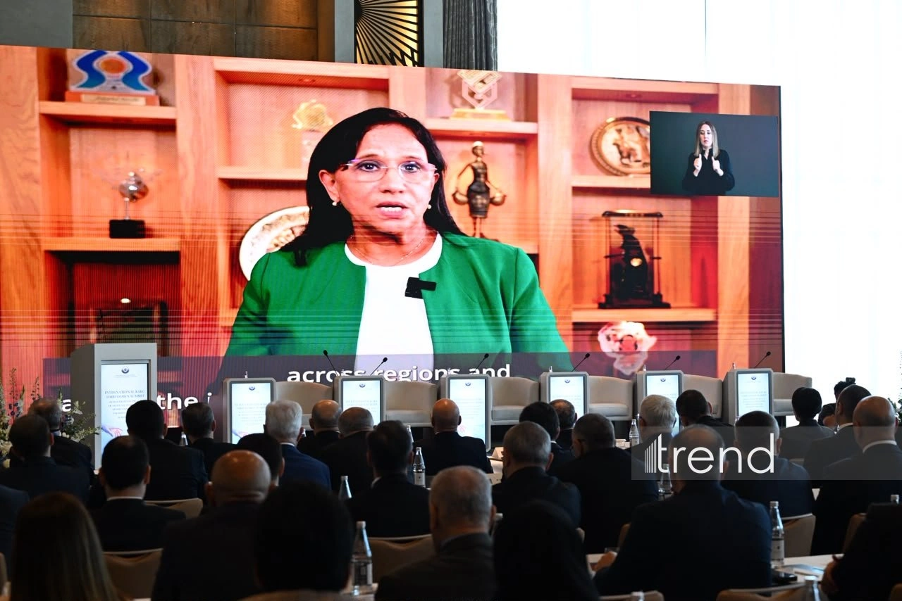 AI governance must be based on human rights principles - Amina Buayash