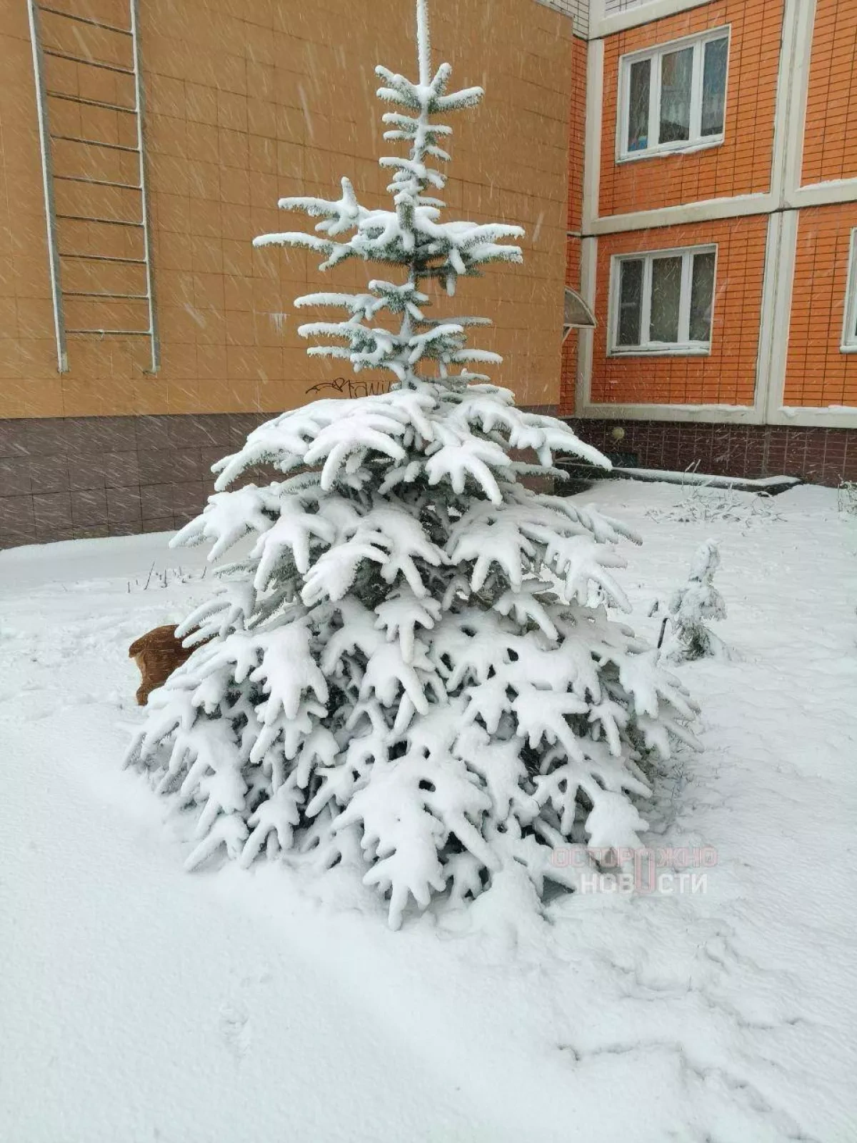 Moscow blanketed in snow amid sudden April weather shift PHOTO / VIDEO