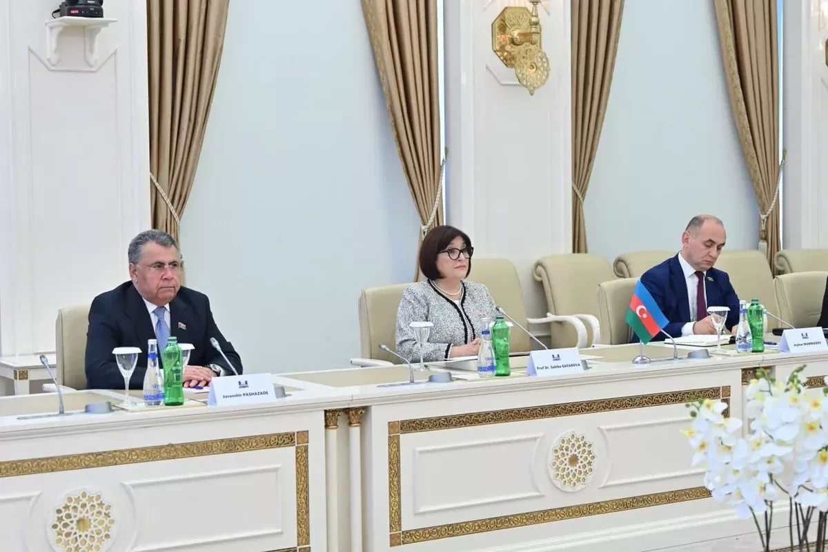 Azerbaijan, Palestine keen to deepen bilateral relations PHOTO