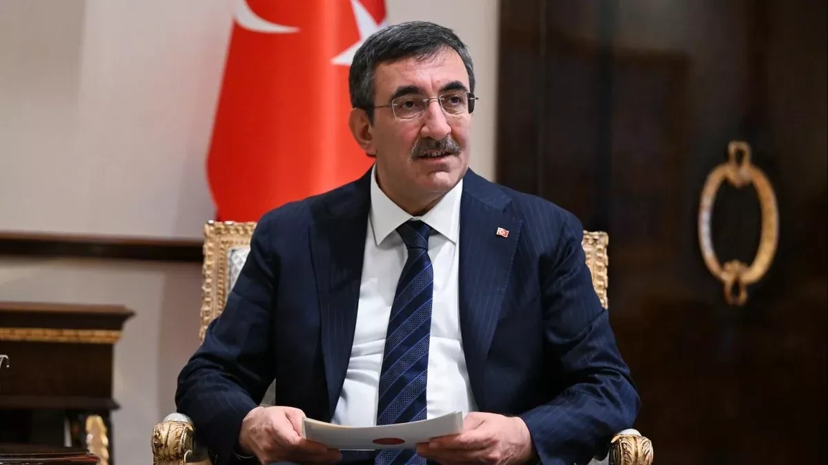 Türkiye seeks lasting peace in South Caucasus, says VP