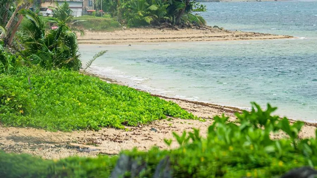 Fiji police discover dozens of parcels containing cocaine along coastline