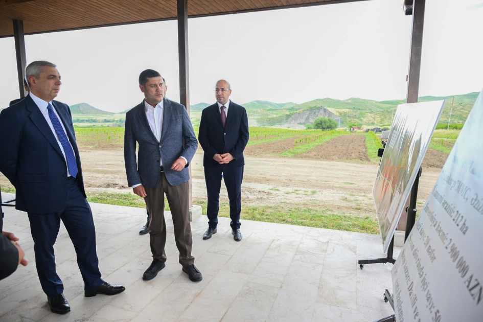 Participants of Coordination Headquarters meeting view intensive horticulture farms in Khojaly district (PHOTO)