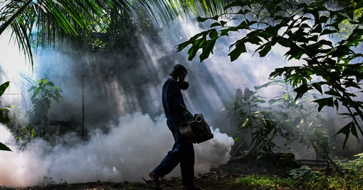 Sri Lanka battles worst dengue outbreak in years as cases surge