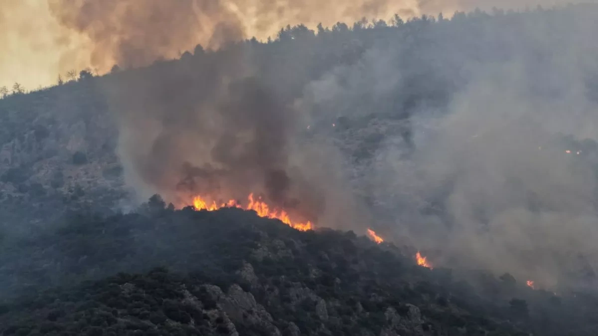 Firefighters battle wildfire in Türkiye’s Antalya for second day PHOTO