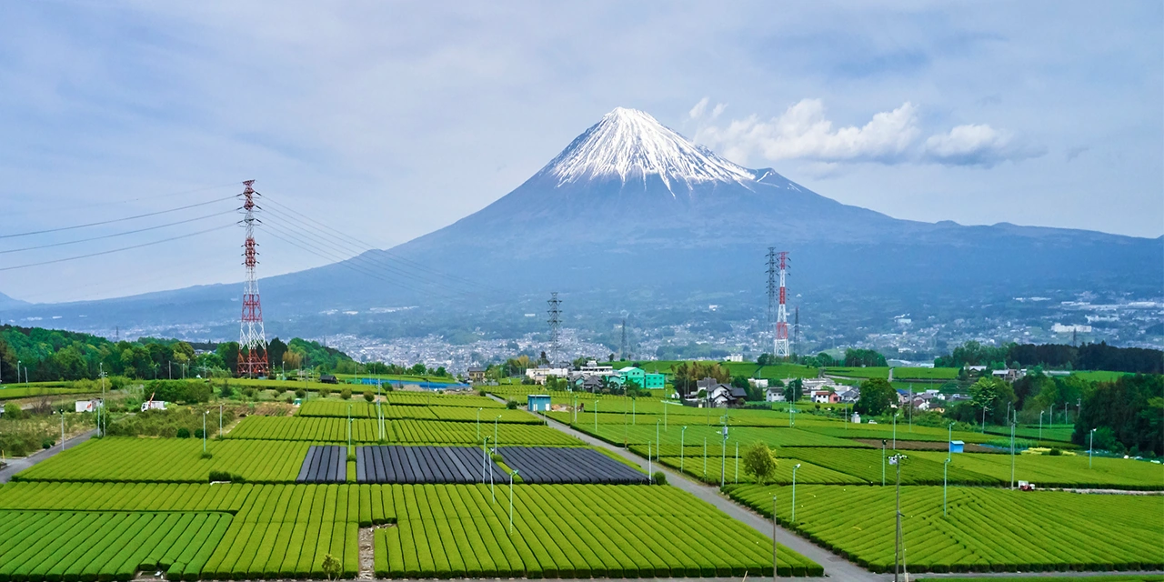 Turkmenistan eyes deepening agricultural cooperation with Japan