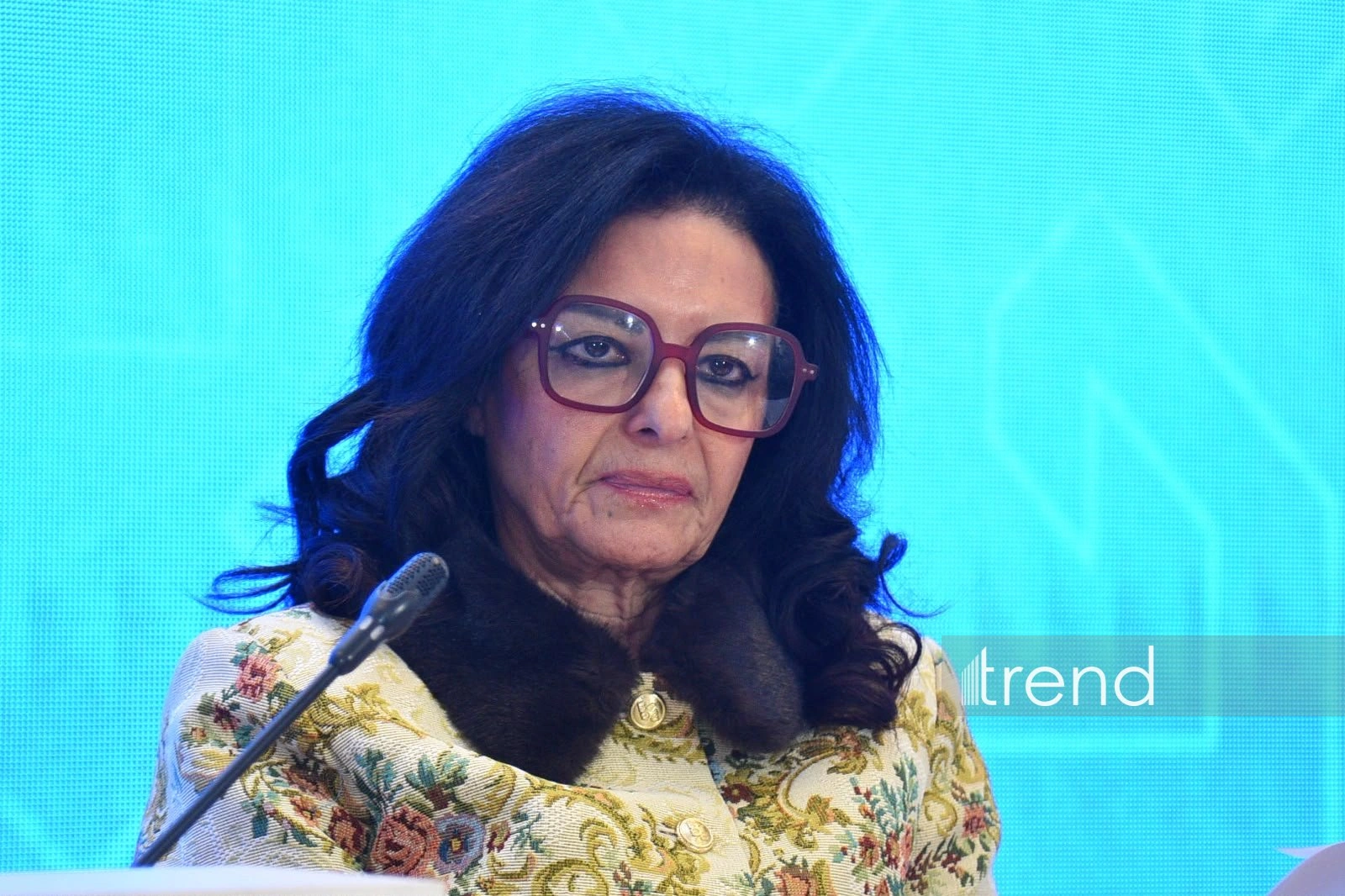UNAOC director says AI can strengthen intercultural understanding