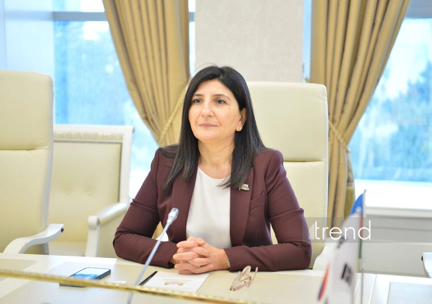 Azerbaijani MP Sevil Mikayilova attends 300th meeting of IPU Executive Committee in Geneva