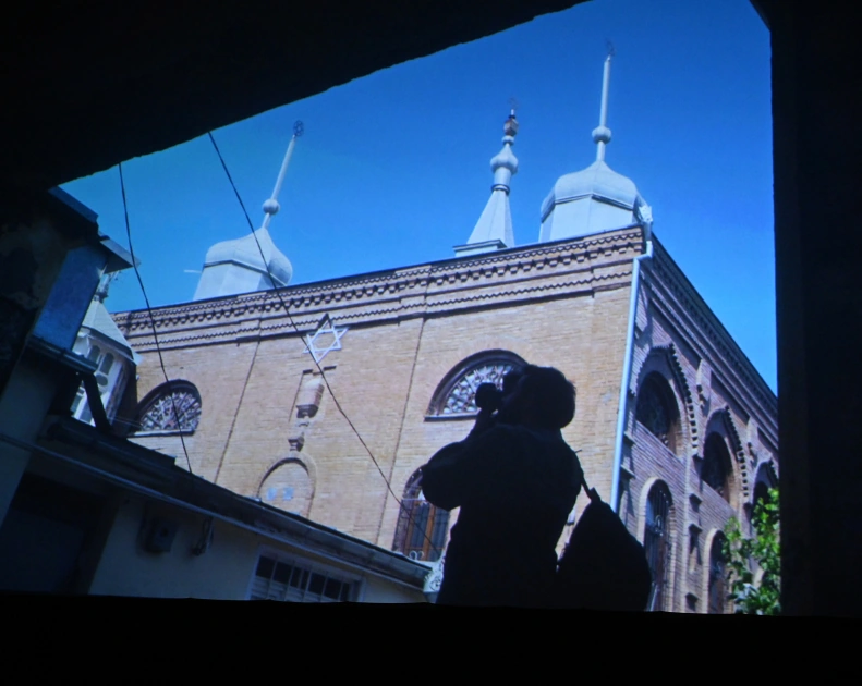 Head of Baku Media Center Arzu Aliyeva attends premiere of "Harmony" documentary (PHOTO)