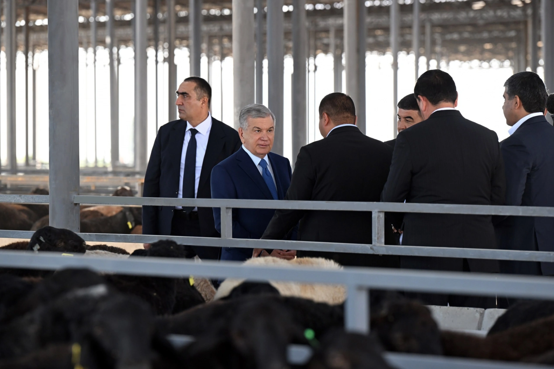 President Mirziyoyev calls for expansion of innovative livestock cluster model