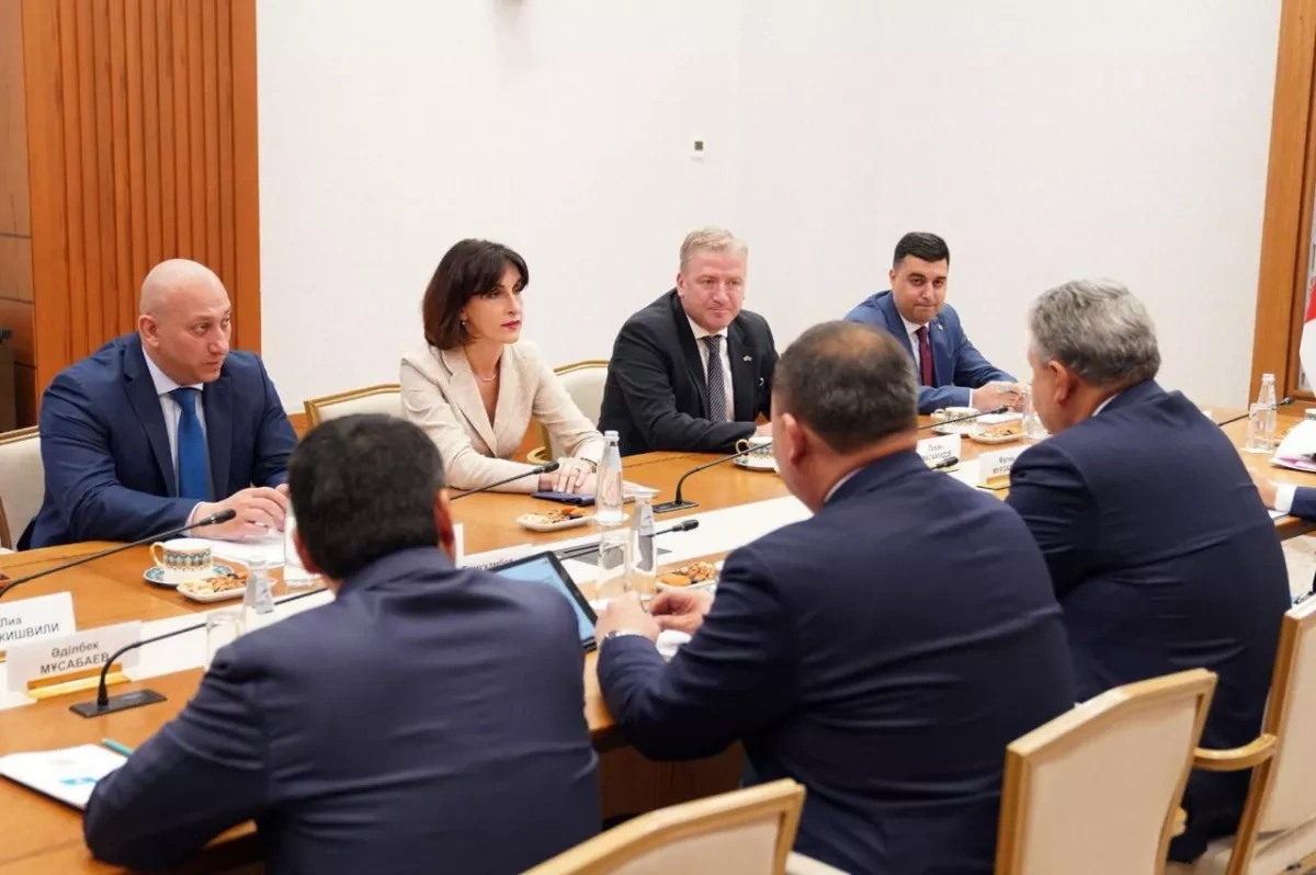 Georgia, Kazakhstan eye new era of strategic cooperation PHOTO