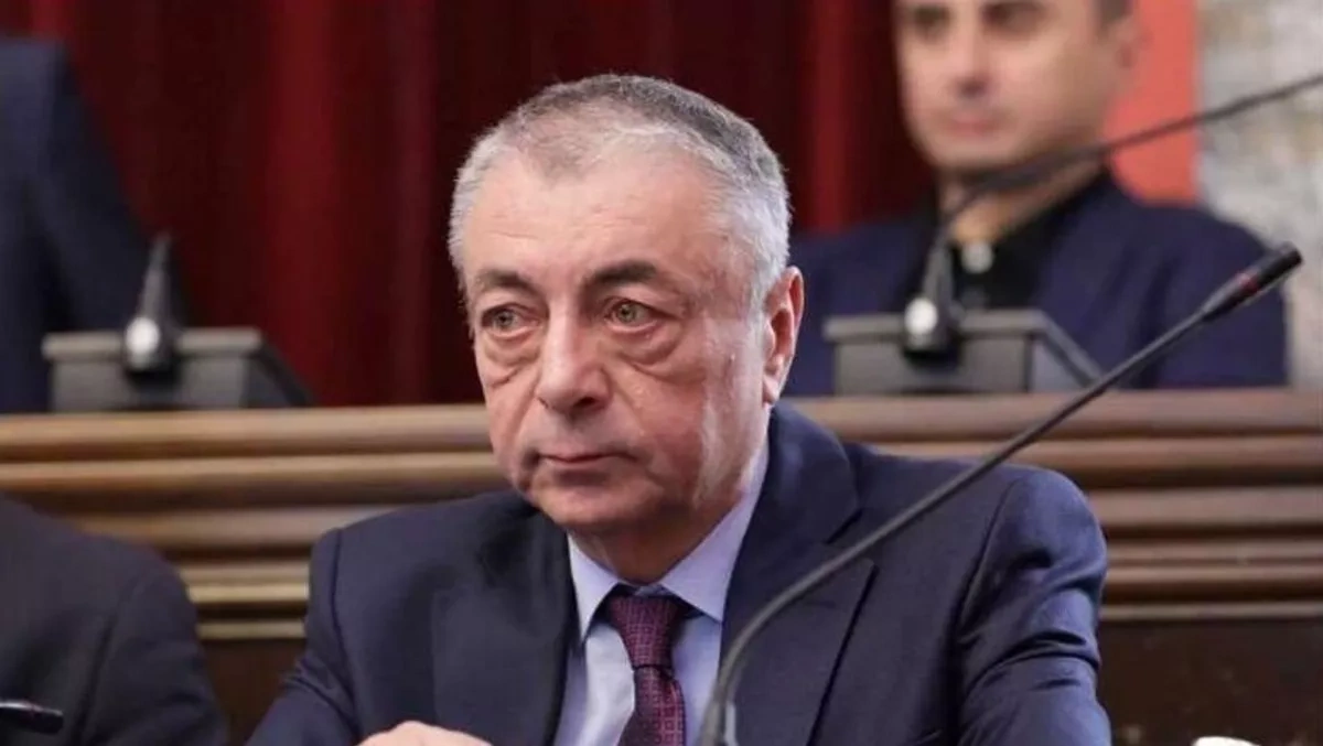 Ukraine – Georgia: Has pragmatism prevailed over emotions? Article by Vladimir Tskhvediani