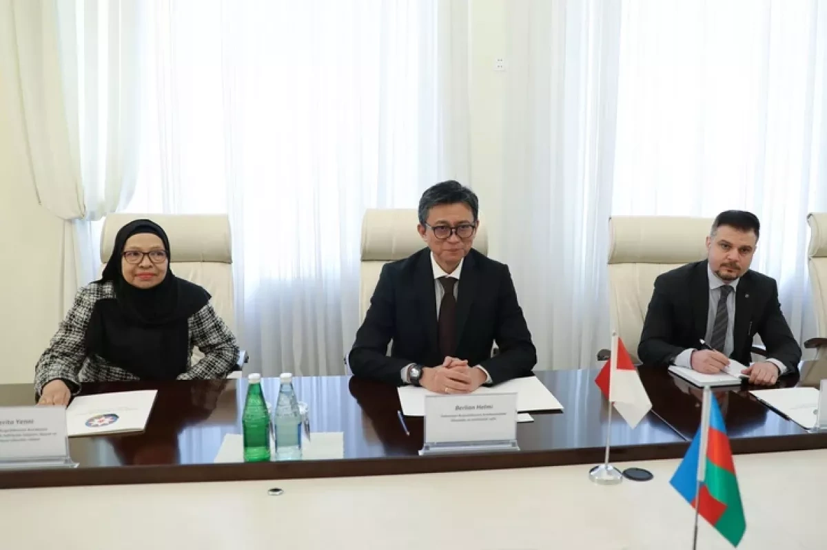 Azerbaijan, Indonesia eye expanded medical cooperation PHOTO